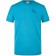 color:turquoise