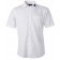 color:white