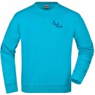 color:turquoise